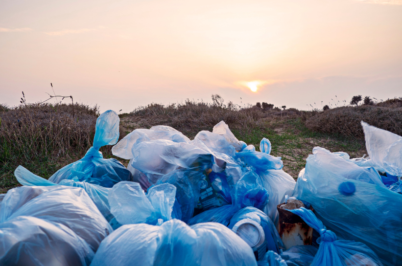 pariwisata Pulau Dewata